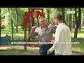 Дети ломают площадку ночью сразу после ремонта днём