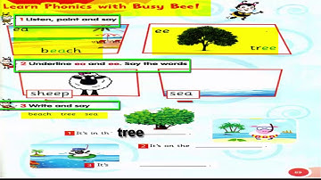 connect plus primary 1 | unit 6 | lesson 2 & Revision   كونكت بلس  1 | الوحدة 6 | الدرس 2