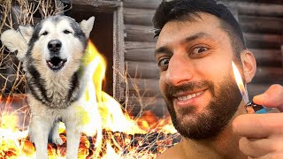 видео: ТРЭШ! Собаки ОДНИ ДОМА с НЕЗНАКОМЦЕМ! картинка: ТРЭШ! Собаки ОДНИ ДОМА с НЕЗНАКОМЦЕМ!