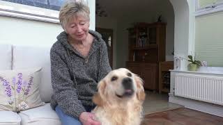 Personal Tales And A Village Dog Walk Inspire New Novel