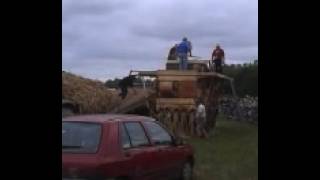 Battage de mogettes a l'ancienne a la fête de l'agriculture au Poiré-sur-Vie (85)