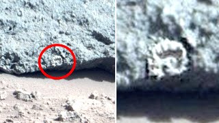 This Man Just Revealed The Mars Rover Has Captured The Clearest Evidence Of Alien Life On Mars