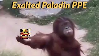 Top 100 Exalted Paladin PPE | RotMG