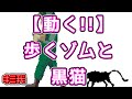 【異世界の主役は我々だ！】歩くゾムと黒猫【描いてみた】