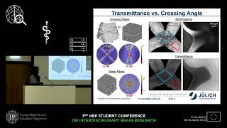 Menzel Miriam - Transmittance and diattenuation of brain tissue
