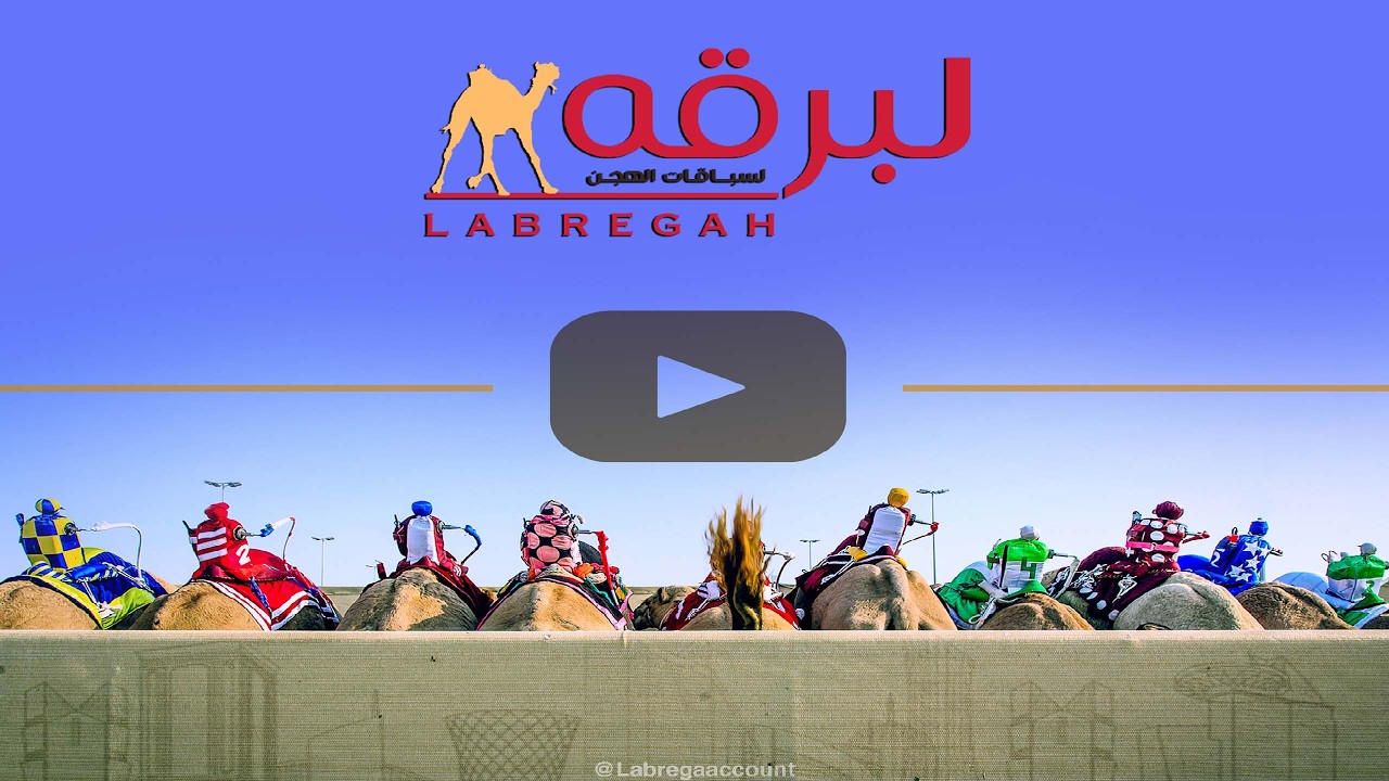 البث المباشر | منافسات الثنايا لأبناء القبائل (تأهيل المرموم الأسبوع الحادي عشر) مساء 07-03-2026