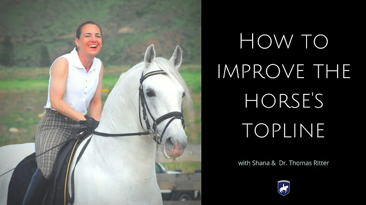 How to improve the horses top line