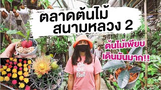 ‘ตลาดต้นไม้สนามหลวง2’ เลียบคลองทวีวัฒนา ต้นไม้เพียบ!! | I GO ON