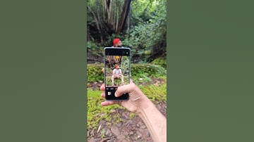 Realme GT 6 Photography camera Test