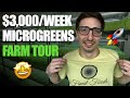 Microgreens FARM TOUR With Donny Greens (Full Walkthrough)