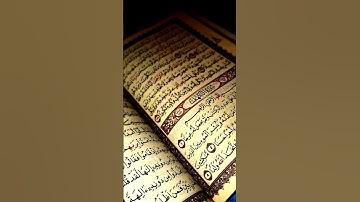 #egzonibrahimi #سورة_الإخلاص #ikhlas#duet#lifeisbutadream #quran#beautiful #ihavethisthingwithplants