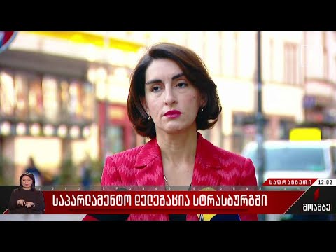 საპარლამენტო დელეგაცია სტრასბურგში