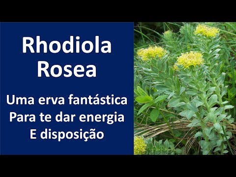 Vídeo: Radiola rosea é uma panacéia para muitas doenças