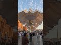 MashAllah Beautiful Morning with opening Rosee Umbrella's in Madinah Munawra