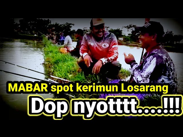 Mabar‼️Mancing ikan Nila Tambak || spot mancing Losarang Indramayu class=