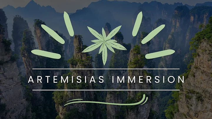 The Nature of Plant Immersions and why Now the Art...