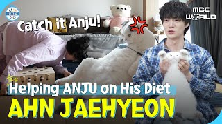 [SUB] Ahn Jaehyeon Does His Best to Assist His Cat Anju with Her Diet #AHNJAEHYEON