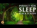 Forest Rain Sounds for Sleeping, 8 hours, Black Screen Sleep Music, Rain Sounds, Sleep Meditation