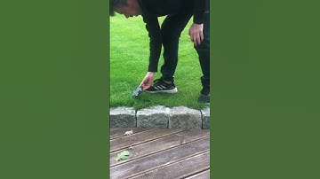 #lawncare When automower fails: old radio does the trick to find where the guide