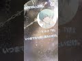 「年内100人目標」イルフ「Ilf」この曲好き〜#青の魔法#チョーキューメイ#青のオーケストラ