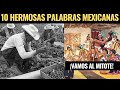 10 Maravillosas Palabras Que Sólo México Puede Explicar