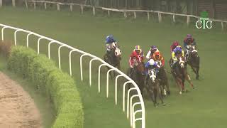 Race No 10 The Multimagic Handicap