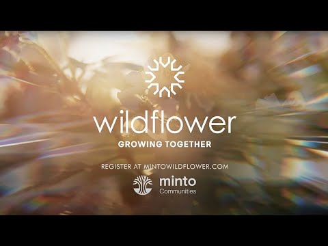 Wildflower - New