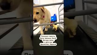 Skopins.ru -  ссылка на  всё 📘поэтическое творчество🖋️в шапке профиля