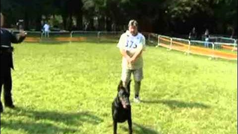 Modus_Ost_RigaRegal_IDC_2007.wmv