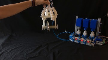 3D-Printed Folds-based Soft Gripper