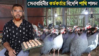 অবসরপ্রাপ্ত সেনাবাহিনীর কর্মকর্তা মেহেদী মাসুদের বিদেশি তিতির পাখি পালনে লক্ষ টাকা আয়।Titir pakhi