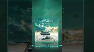 William Steynberg - Shchedryk (Piano Version) 🎹🙂