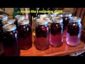 🍷 How To Make Easy Homemade Wine 🤩 Making Blackberry Wine👓