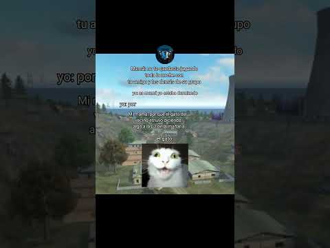 SE PASO ESE GATO #humor #fyp #memes #videoviral #creadordecontenido # #diversiongarantizada