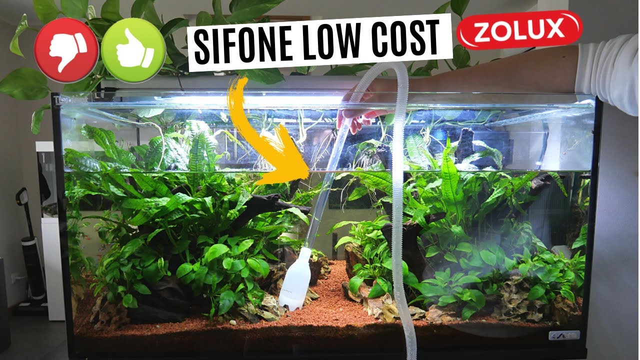 SIFONE super LOW COST per pulire il fondo dell'acquario