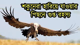 উপকারী প্রাণী শকুন বিলুপ্তির পিছনে রহস্য | Story Behind Vulture Extinction