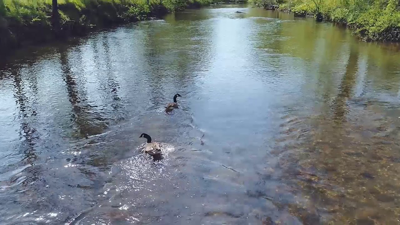 Floyd Virginia Riverfront Land for Sale YouTube