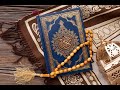 The holy quran recitationtfssurah arrahman 2628