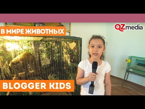 Blogger Kids / В мире животных