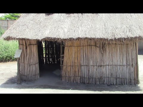 Video: Makumbusho Ya Chakula Cha Baharini