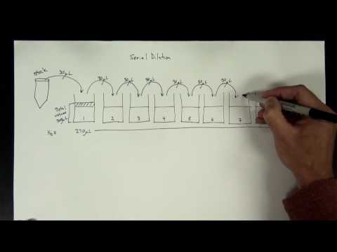 BAM Appendix 2: Most Probable Number from Serial Dilutions