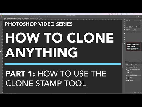 Photoshop Clone Stamp Tutorial for Beginners