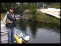 Newfoundland Sea Trout