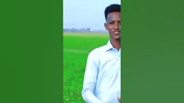 DHAANTO CUSUB AWAAN NUUR KOOSAAR JIBTA IYO JIIBTA DHAANTADA KADAWO HALKAN 