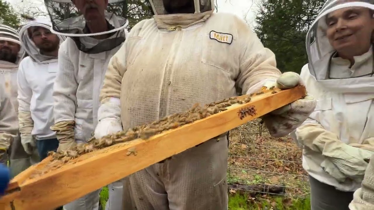 The Hive Clinic - Learning How To Graft w/ Matt Thomas