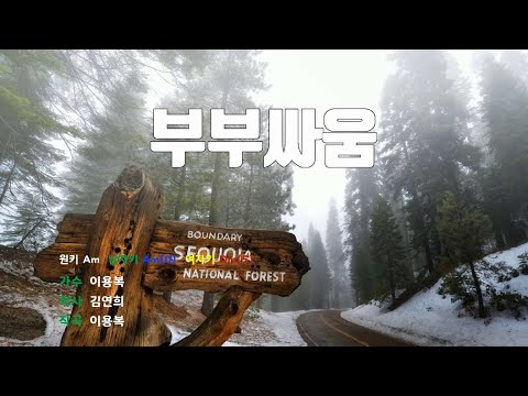 [은성 반주기] 부부싸움 - 이용복