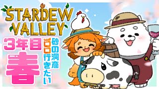 【スタデュ―バレー】３年目の春！砂漠の洞窟100大変すぎない…！？💀🐾