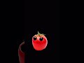 #loop #funny #tomato