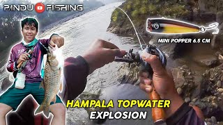 MELEDAK ‼️ SENSASI CASTING HAMPALA PAKAI LURE POPPER | Rod Lemoren V2 Baitcasting