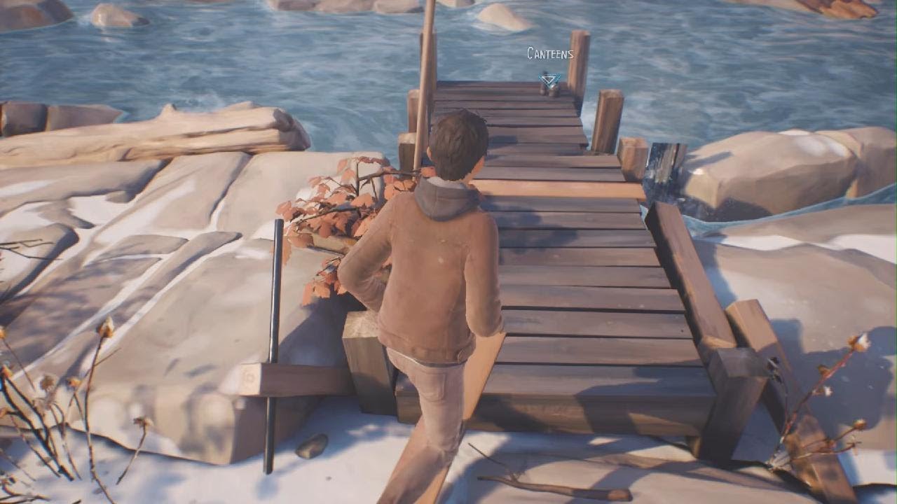 Brian games life is strange 2 episode 2